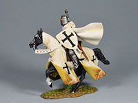 Teutonic Knight with sword