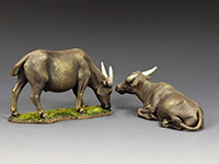A Pair of Water Buffaloes