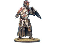 Templar Knight with Sword
