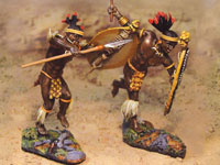 Mbonambi attacking