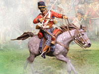 Scots Grey Slashing