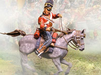 Scots Grey Shooting