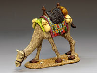 Gracing Camel