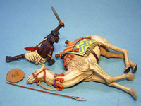 Beja Warrior and Wounded Camel