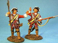 Line Infantry